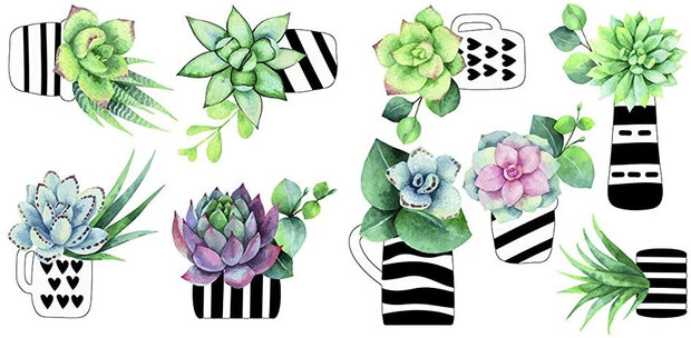 raamstickers Cactus 62 x 31 cm vinyl 9-delig