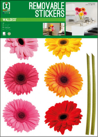muursticker Gerbera 50 x 70 cm vinyl roze/rood