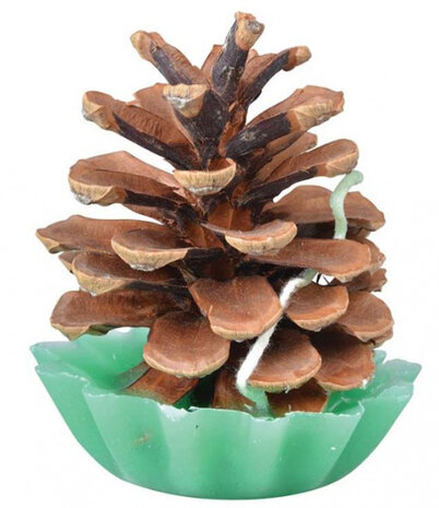 aanmaakblokjes Dennenappel hout bruin 10 stuks