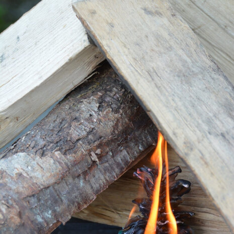 aanmaakblokjes Dennenappel hout bruin 10 stuks