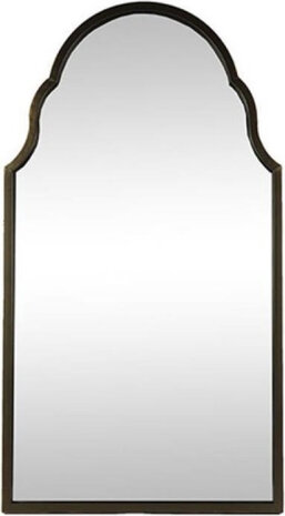 spiegel Zerrin 47 x 115 cm glas zilver/zwart