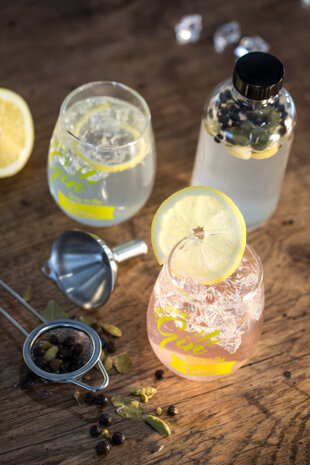 gin-bereidingsset glas transparant 6-delig