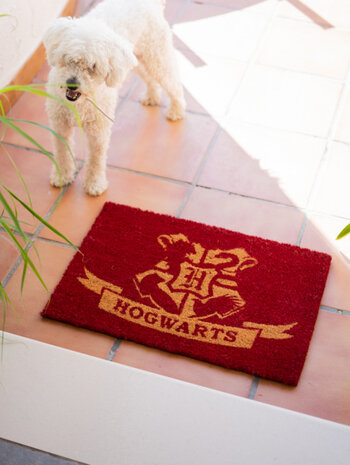 deurmat Harry Poter 60 x 40 cm PVC/kokosvezel rood
