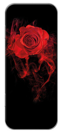 pennenblik Rose 18 x 7,5 cm aluminium zwart/rood