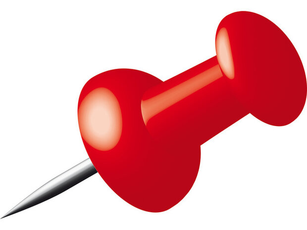punaise 1 cm staal rood 40 stuks