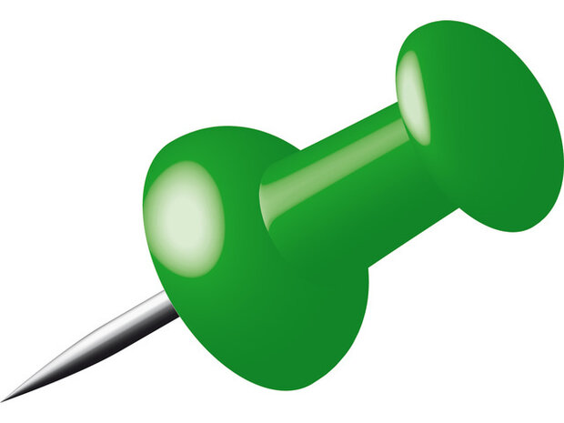 punaise 1 cm staal groen 40 stuks