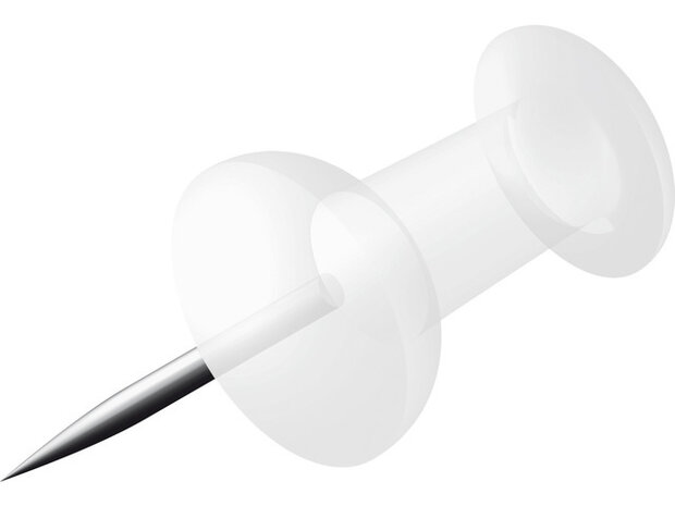 punaise 1 cm staal transparant 40 stuks
