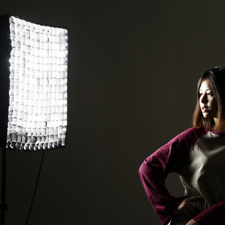 softbox en honingraat RX-18SB+HC 45 x 60 cm zwart