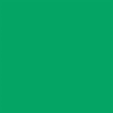 achtergrondrol 1,35 x 11 meter papier Chroma groen