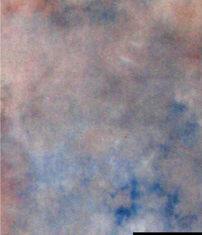 achtergronddoek S-122 katoen 2,9 x 7 meter