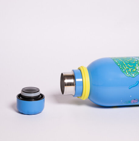 drinkfles Rick and Morty 500 ml 7 x 25 cm RVS blauw
