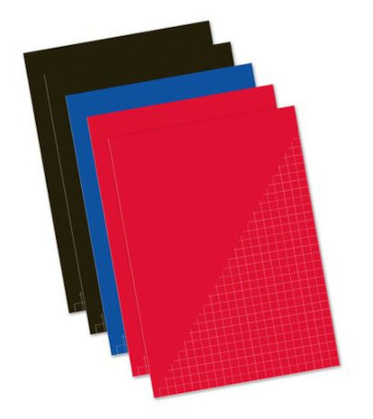schriften A4 geruit 29,7 cm zwart/blauw/rood 5 stuks