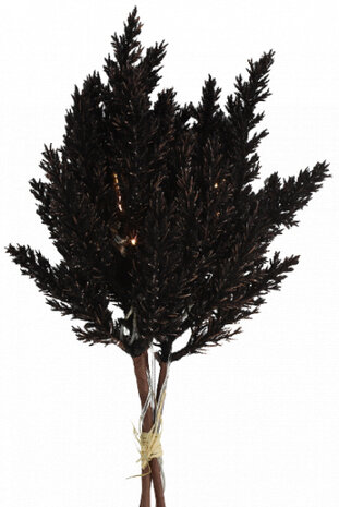 decoratietak Astilbe led 25,4 cm hout/veren zwart