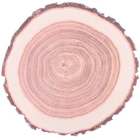 placemat Boomstam papier 38 cm bruin 10 stuks