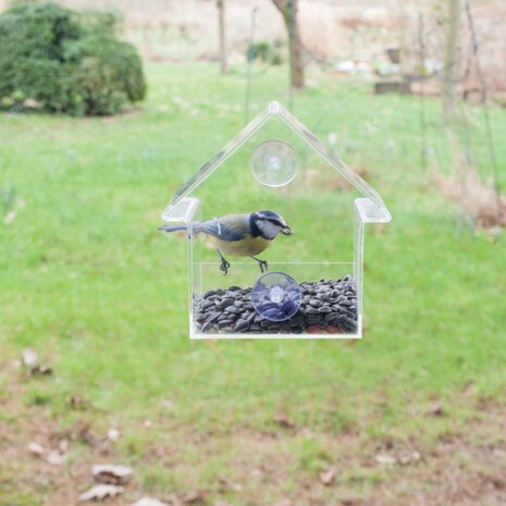 voederhuis vogels 10 x 15 x 15,3 cm acryl