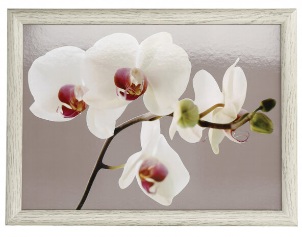 dienblad Orchid Harmony 44 x 34 cm hout taupe