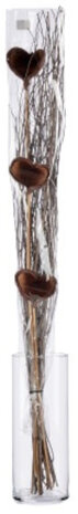 droogbloemen Kokosnoot 100 cm naturel/grijs/bruin