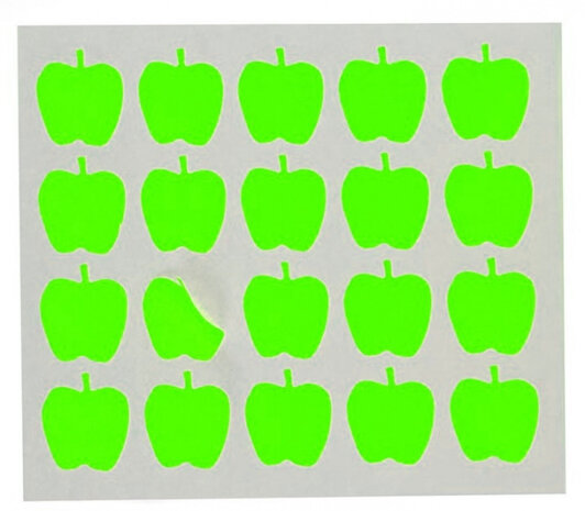 etiketten appel 22 x 49 mm papier groen 100 stuks