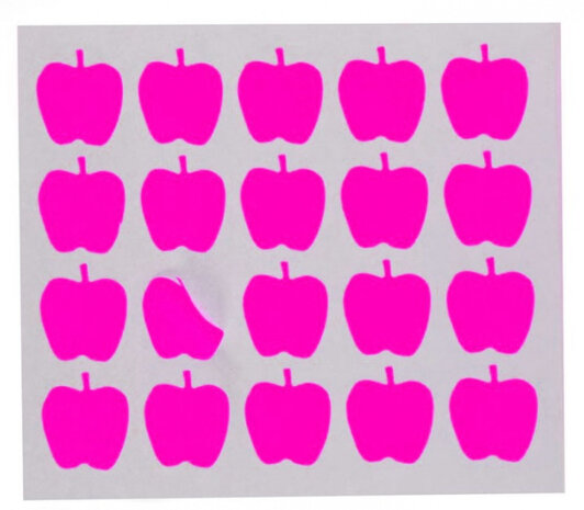 etiketten appel 22 x 49 mm papier roze 100 stuks