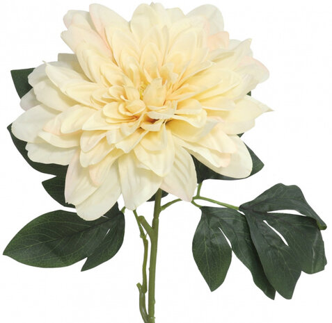 droogbloem dalia 74 cm geel/groen