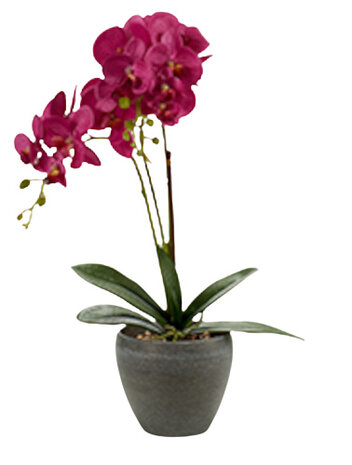kunstplant Orchidee 36 x 25 x 50 cm paars/grijs