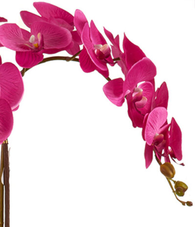 kunstorchidee 88 x 60 cm fuchsia/antraciet