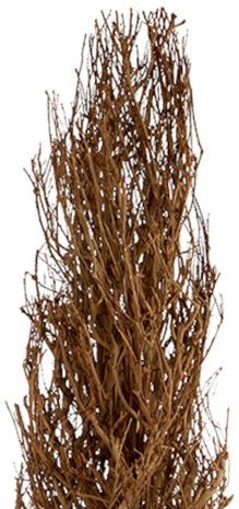 ornament boom 138 x 30 cm hout naturel