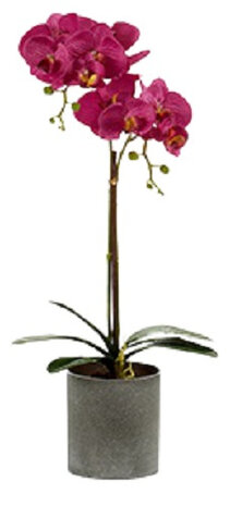 kunstplant Orchidee 51 cm paars/grijs