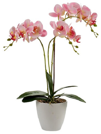 kunstplant Orchidee 48 cm lichtroze/grijs