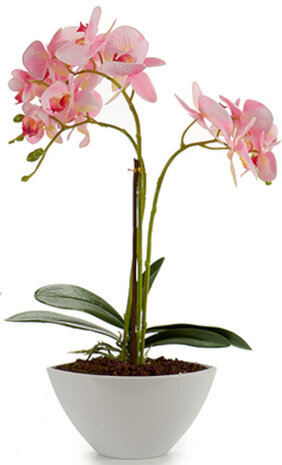 kunstplant Orchidee 50 x 28 cm lichtroze