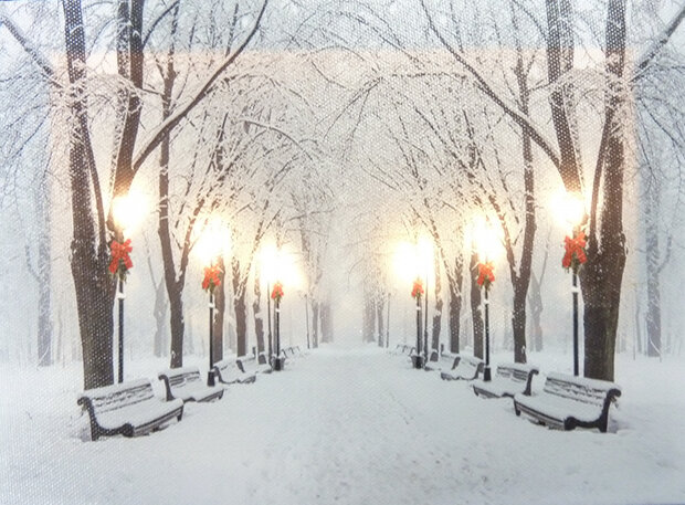 wanddecoratie Winter led 20 x 15 cm canvas wit