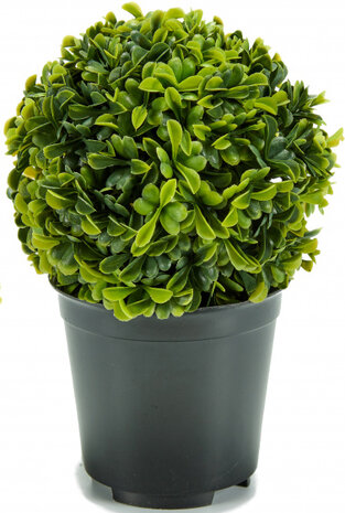 kunstplant bol 15 x 13 x 13 cm groen/zwart