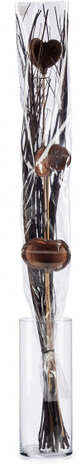 droogbloemen Kokosnoot 100 cm bruin