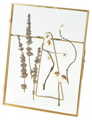 droogbloemenlijst 21 x 16 cm staal/glas goud