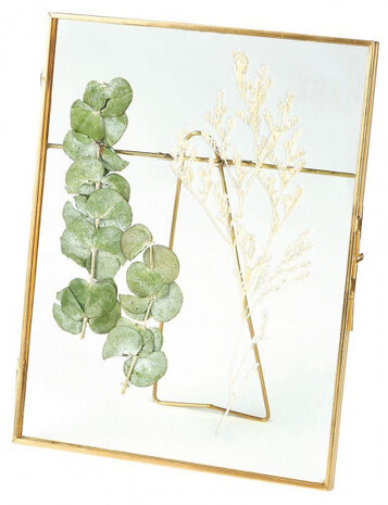 droogbloemenlijst 21 x 16 cm staal/glas goud