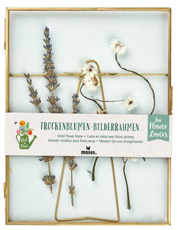 droogbloemenlijst 21 x 16 cm staal/glas goud