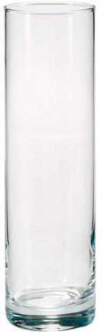 vaas Botanica 8 x 26,5 cm glas transparant