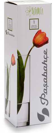 vaas Botanica 8 x 26,5 cm glas transparant