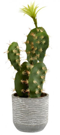 kunstplant Cactus 14 x 16 x 20 cm groen/grijs