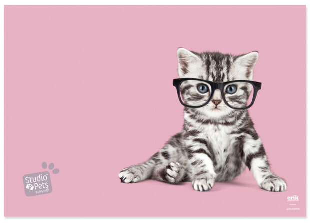 bureauonderlegger Studio Pets 49,5 cm PVC roze