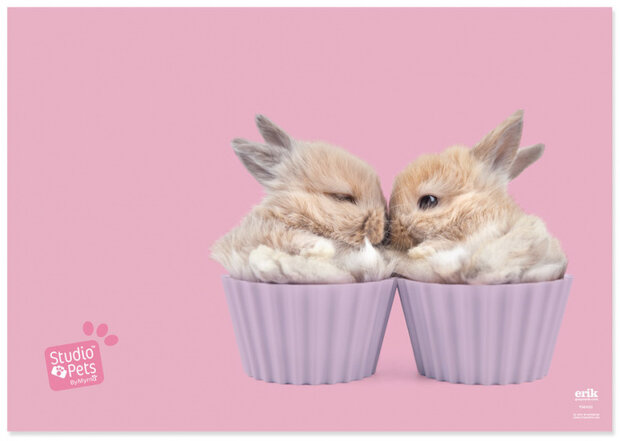 bureauonderlegger Studio Pets Rabbit 49,5 PVC roze