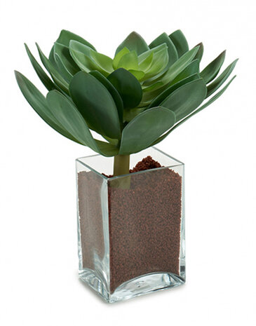 kunstplant Sharp Leaves 25 x 24 cm groen