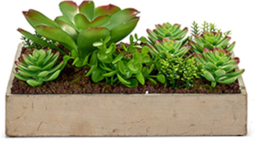 plantenbak 17 x 29 cm hout groen/naturel