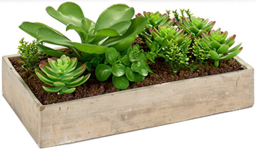 plantenbak 17 x 29 cm hout groen/naturel