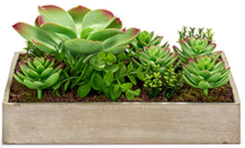 plantenbak 17 x 29 cm hout groen/naturel