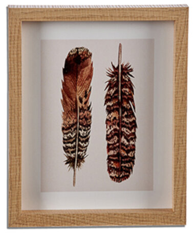 fotolijst vogelveren 27 x 22 cm hout bruin/wit