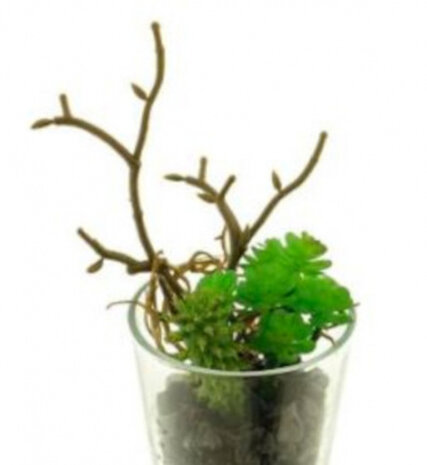 kunstplant Sedum 13 cm zijde groen 2-delig
