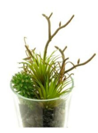 kunstplant Cardex 13 cm zijde groen 2-delig
