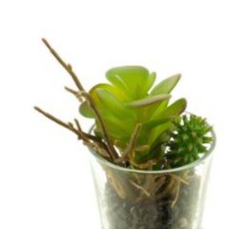 kunstplant Echeveria 13 cm zijde groen 2-delig