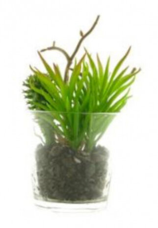kunstplant Senccio 13 cm zijde groen 2-delig